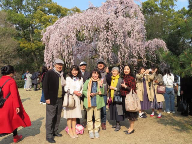 花見